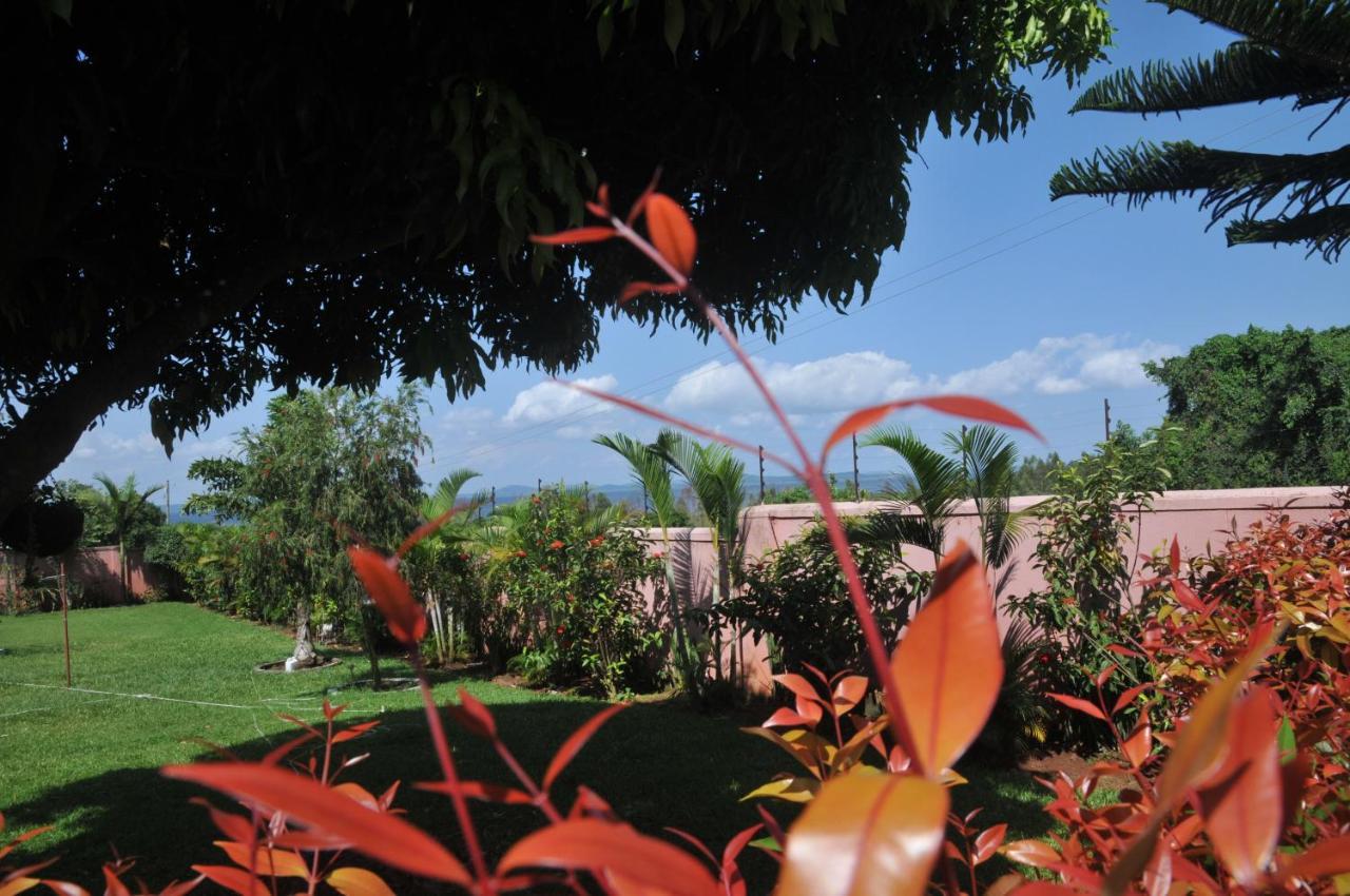 Victoria Lake View Guesthouse & Safaris Entebbe Exterior foto