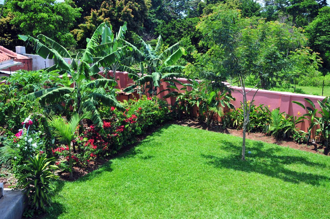 Victoria Lake View Guesthouse & Safaris Entebbe Exterior foto