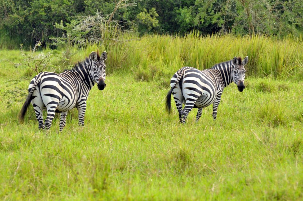 Victoria Lake View Guesthouse & Safaris Entebbe Exterior foto